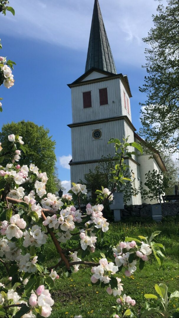 Bilde av nes kirke