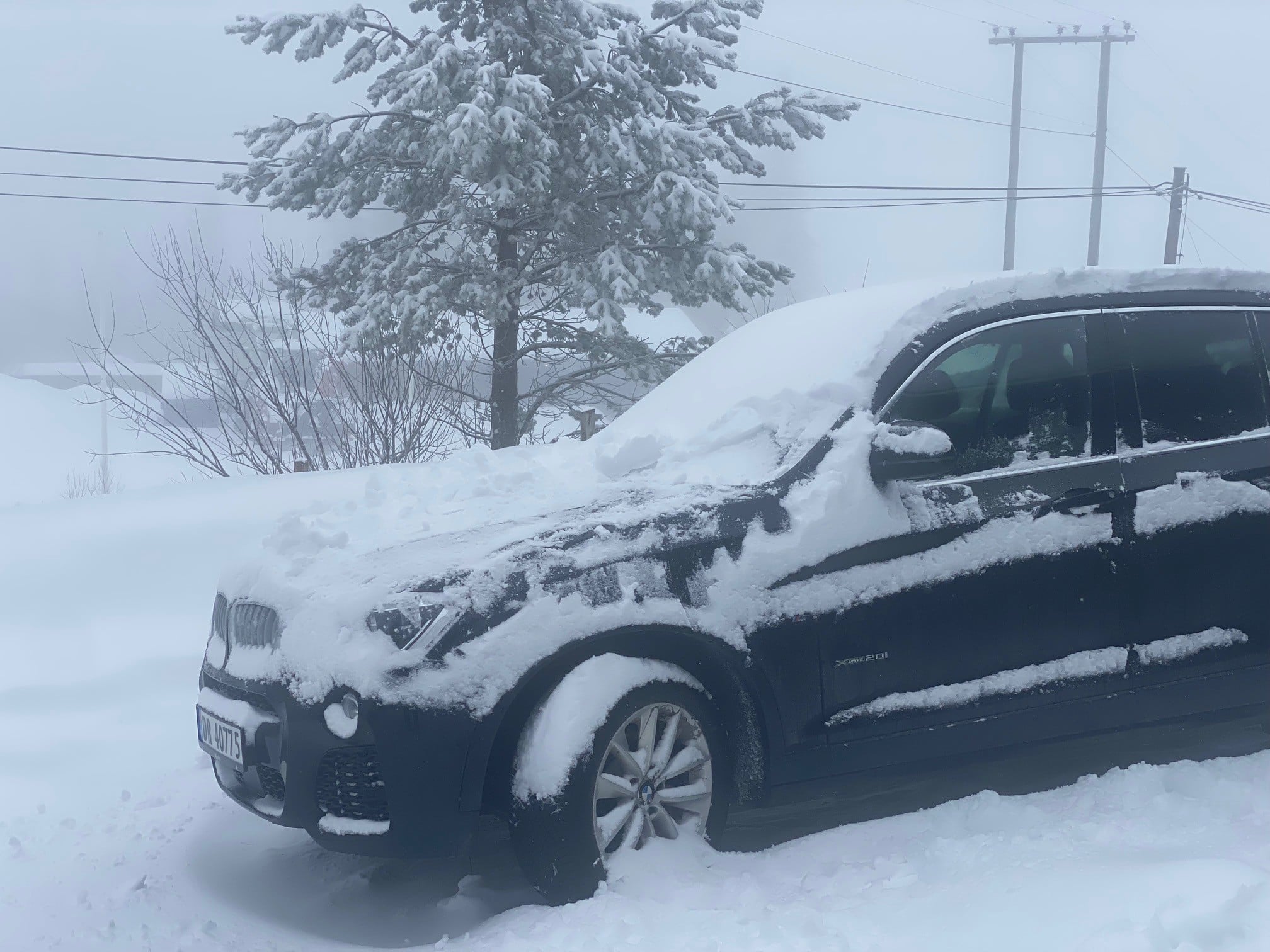 Bilde av en svart bil dekket av snø i en vinterlig landskap, med trær og strømkabler i bakgrunnen.