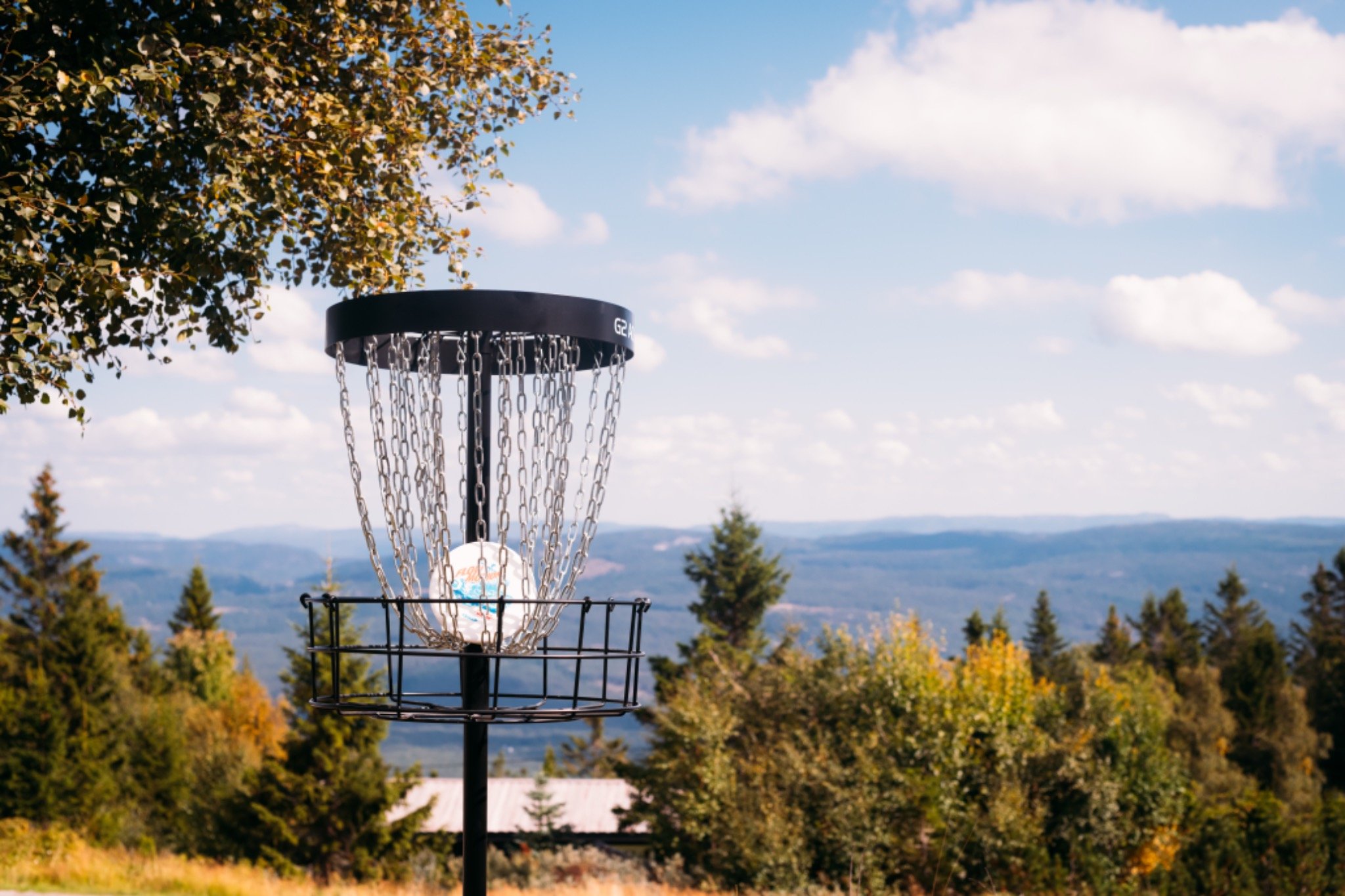 Frisbee golf