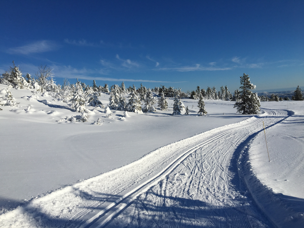 Skiløype
