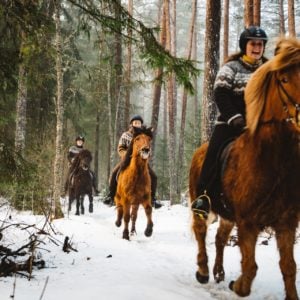 Ryttere og hester i full galopp