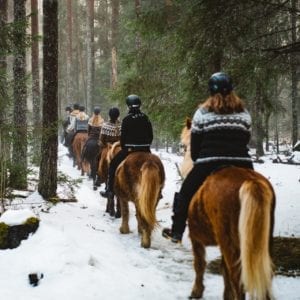 Turridninga i skogen