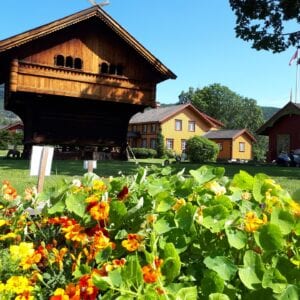 Blomstring på Evju
