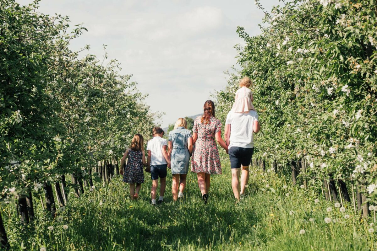 Familien på Lien Gård går i frukthagen