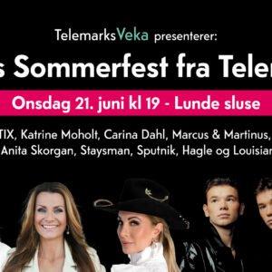 Plakat sommerfest