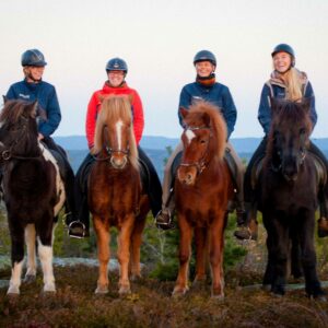 fire ryttere på islandshest