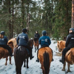 Hest og rytter på tur.
