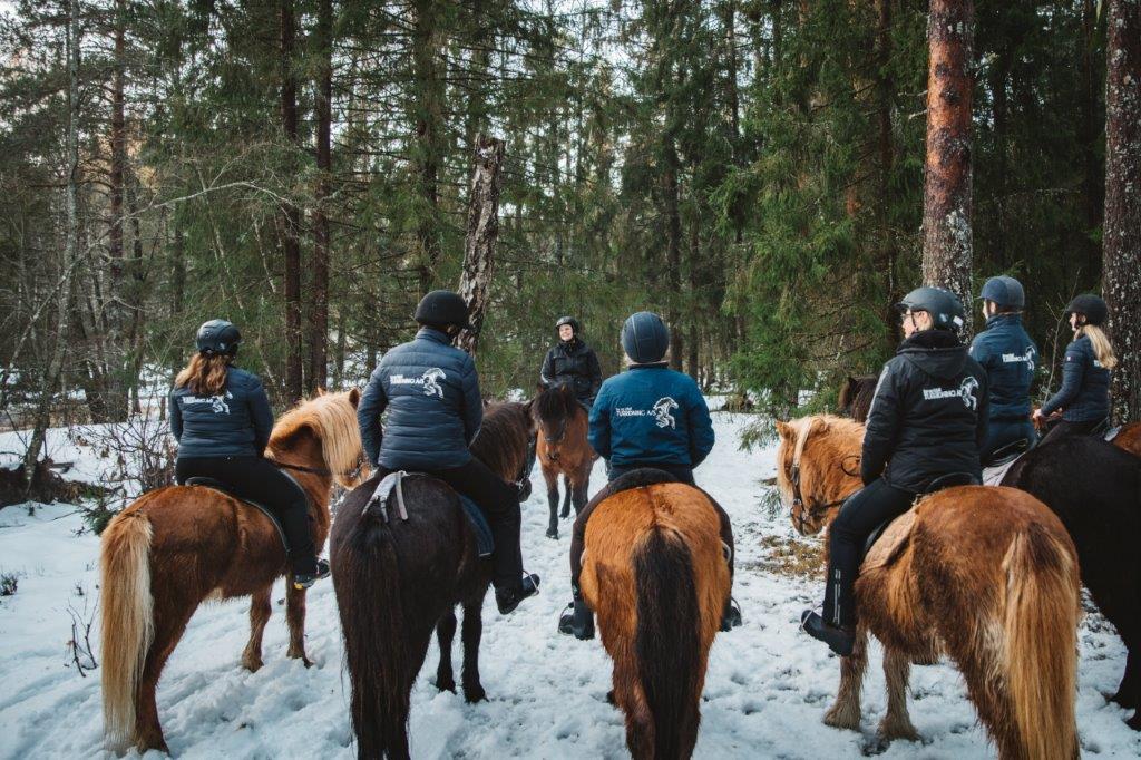 Hest og rytter på tur.