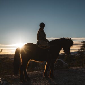 Kvinne på hest i solnedgang