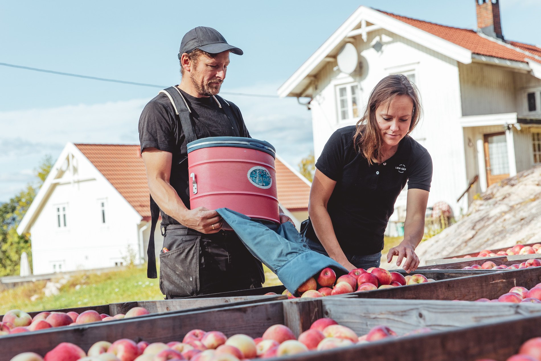 Featured image for “Sidersmaking, badstue og gårdsbutikk”