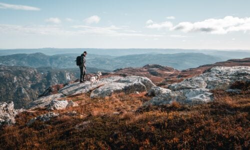 Mann på fjelltur med hund i naturskjønt landskap, høstfarger dominerer utsikten over fjellene.