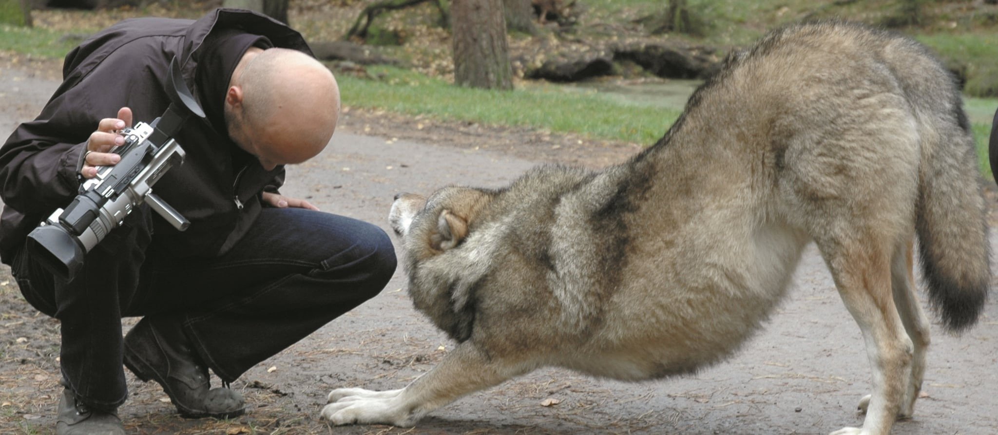 Featured image for “Kva forteller hunden oss- og korleis bruke dette i hundetrening?”