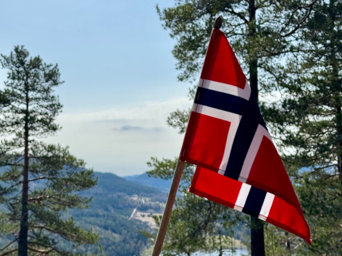 Norsk flagg med fjellutsikt i bakgrunnen, omfavnet av grønne trær. Ideelt for feiringer og utendørs aktiviteter.