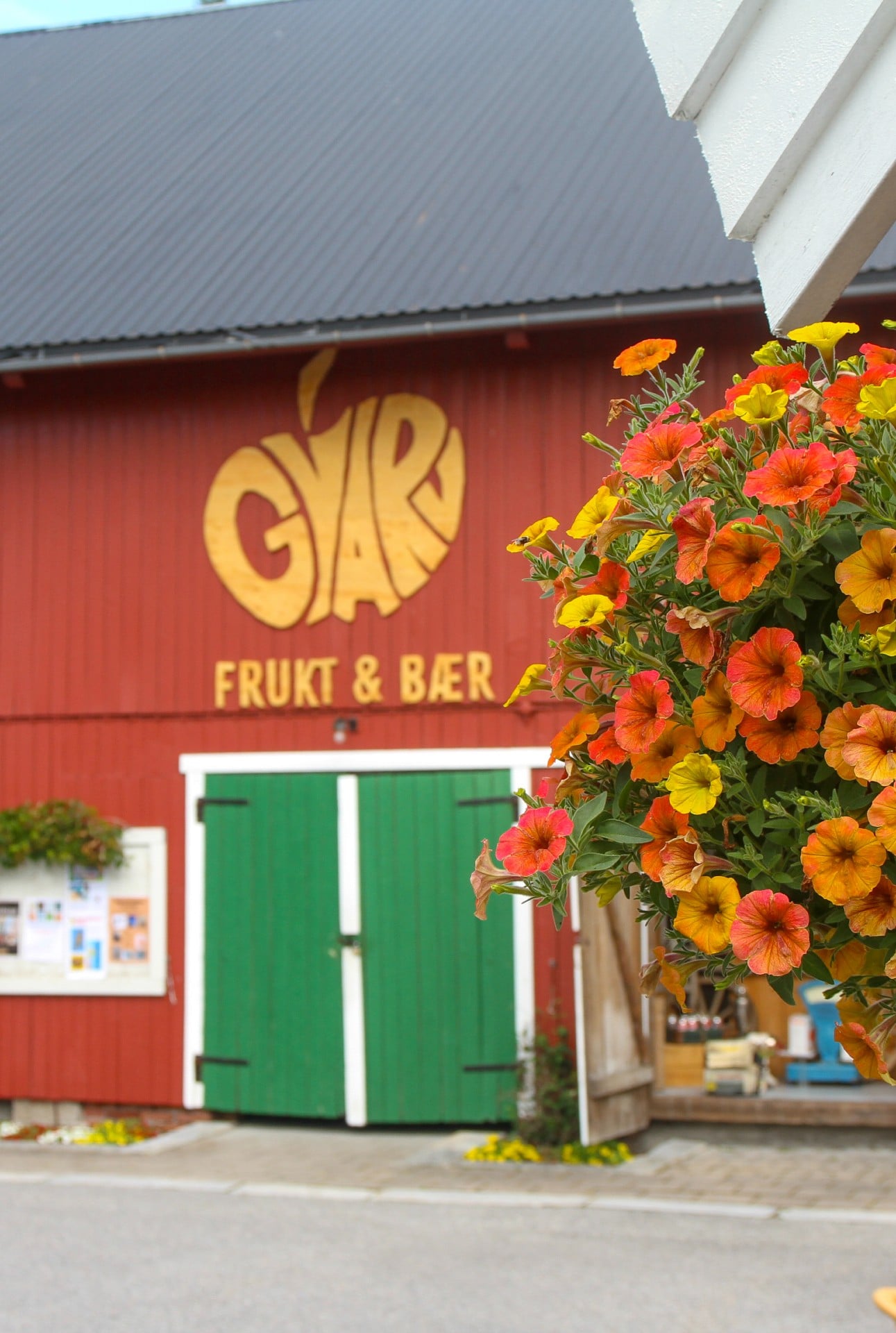 Alt-tekst: Fargerik blomsterkasse foran Gård Frukt & Bær med rødbygget bakgrunn og grønne dører.