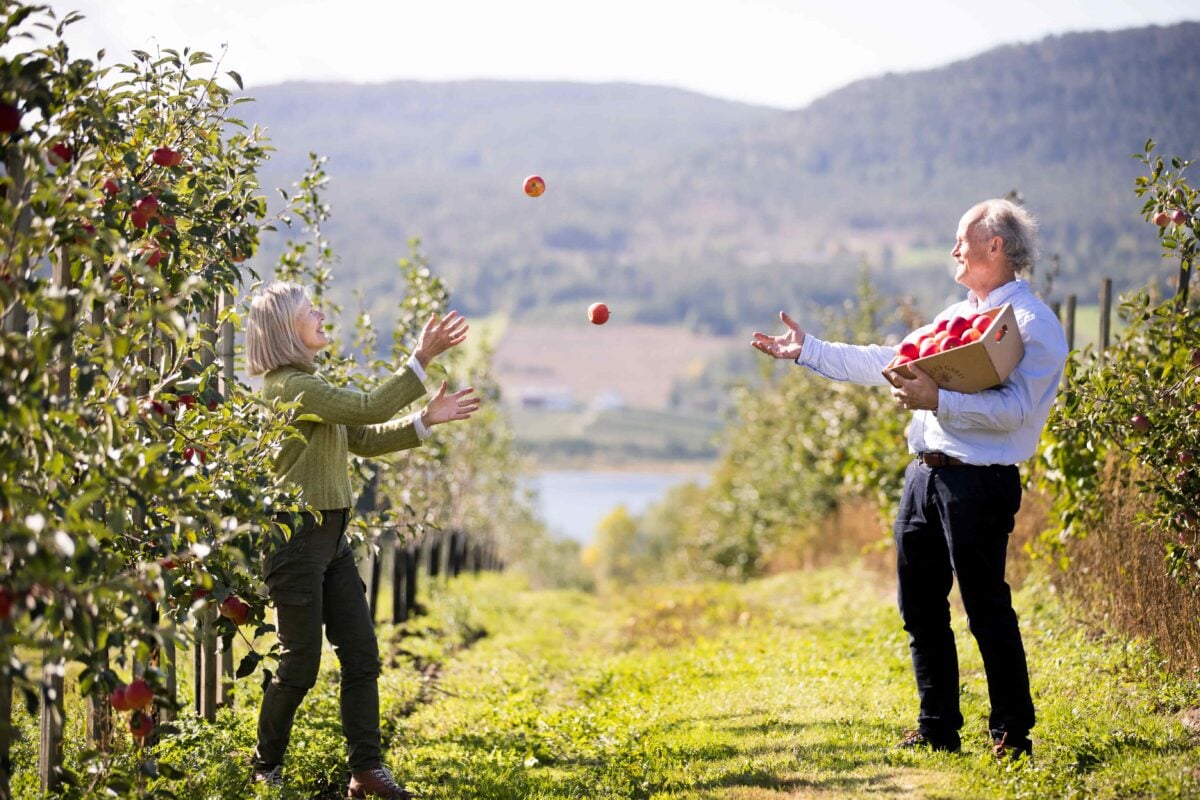 To personer som kaster epler i en frukthage en solfylt dag. Grønn natur og fjell i bakgrunnen.