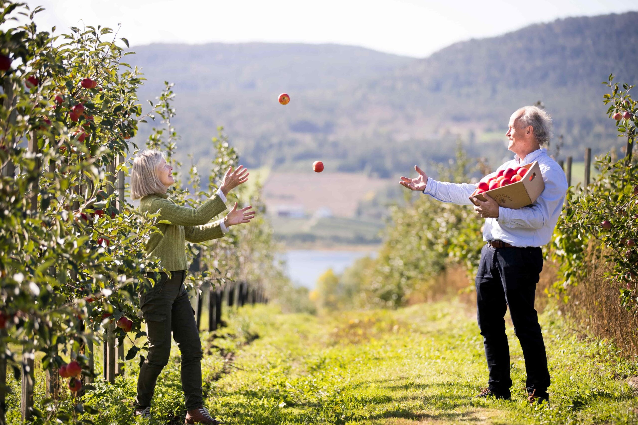 To personer som kaster epler i en frukthage en solfylt dag. Grønn natur og fjell i bakgrunnen.